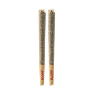 FLYING MONKEY BOUTIQUE THC-A 4GM 2PK PRE ROLL 10CT/BX HYBRID GSC X GELATO