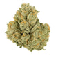 STICKY GREEN TOP SHELF THC-A PRE-ROLL 25CT/DISPLAY HYBRID - 24K