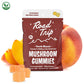 ROAD TRIP AMANITA MUSCARIA MUSHROOM GUMMIES 8CT/POUCH