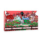 SILLY FARMS MAGIC MUSHROOM CHOCOLATE 7GRAM /PC