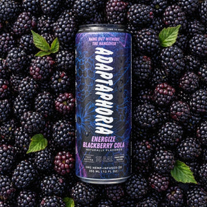 ADAPTAPHORIA ENERGIZE 10MG HEMP INFUSED SELTZER CAN