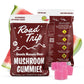 ROAD TRIP AMANITA MUSCARIA MUSHROOM GUMMIES 2PC 30CT/BOX